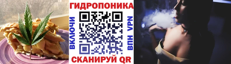 Canna-Cookies конопля  ссылка на мегу ONION  сайты даркнета официальный сайт  Алагир 