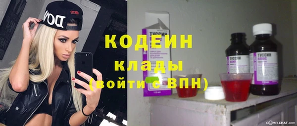 молекула духа Алзамай