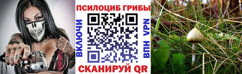 Галлюциногенные грибы прущие грибы  цены   Алагир 